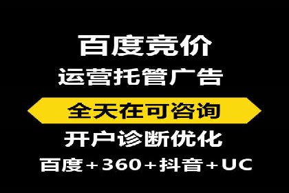 百度推广效果案例解析
